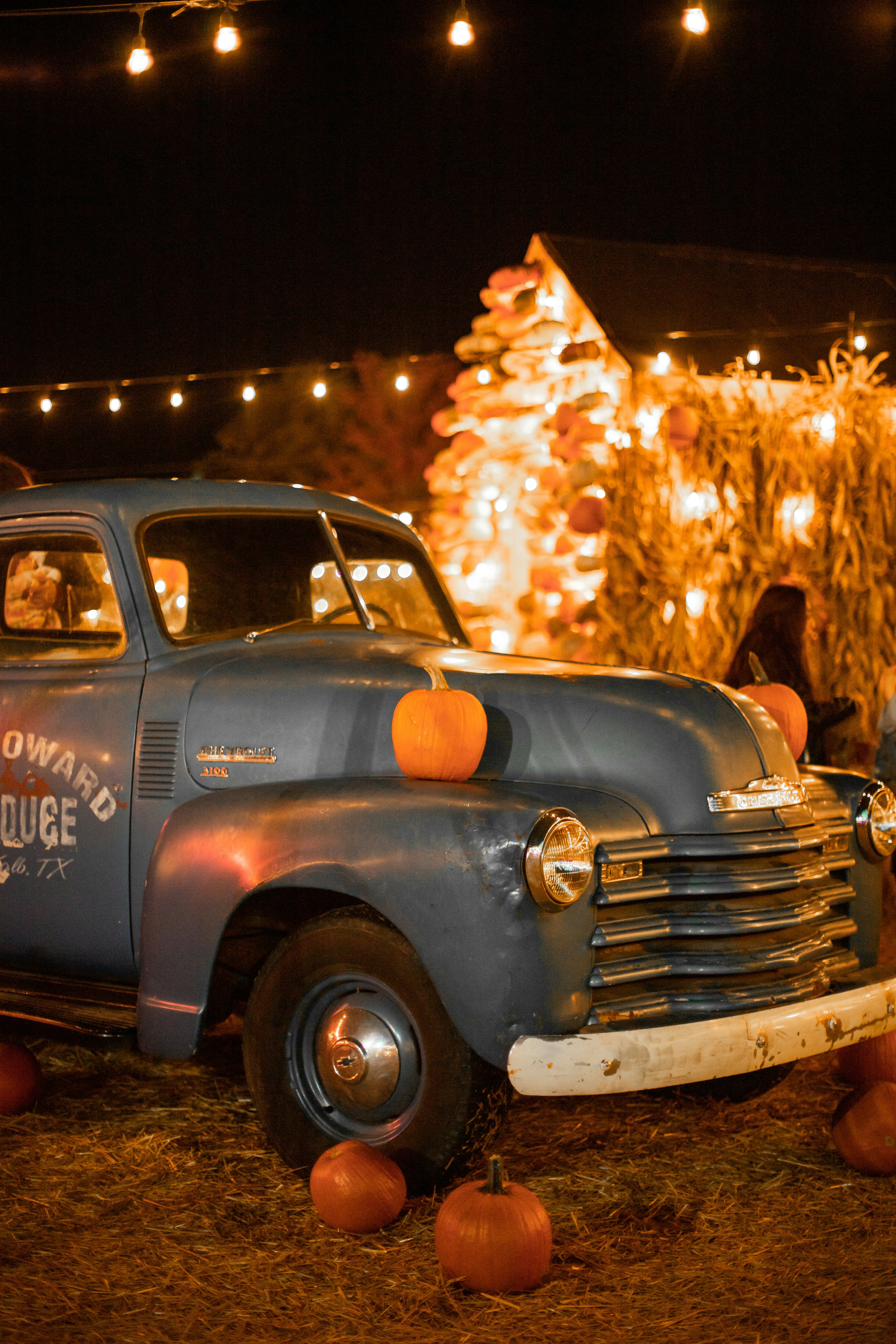 Fall Festival Guide: Where to Celebrate Autumn in Style 🍂